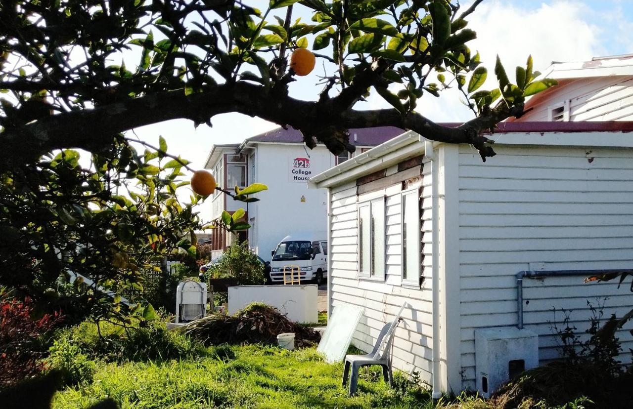 42B College House Vandrarhem Whanganui Exteriör bild